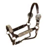 Tory Leather Rochester Congress Show Halter And Lead -Equine Worlds 126rochestercongress1 13127 01982.1536625779