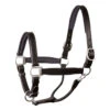 Perri's Padded Leather Halter 2 Perri's Padded Leather Halter -Equine Worlds 190 blk black ss l 36512 32306.1527306333