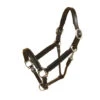 Tory Padded Leather Halter With Nickel Hardware -Equine Worlds 196 ni7e1 38643 22276.1527305564