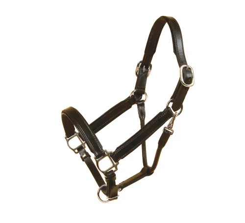 Tory Padded Leather Halter With Nickel Hardware 3 Tory Padded Leather Halter With Nickel Hardware