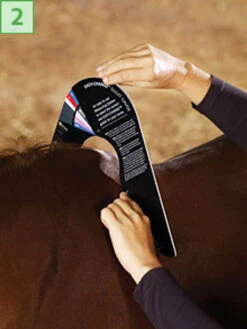 Bates/Wintec Easy Change Gullet Gauge -Equine Worlds 2 gauge point 97724.1546903553