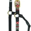 Weaver Leather Weaver Aztec Nylon Halter -Equine Worlds 356781p22 weaver aztec halter crimson 79904.1544297786