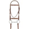 Pessoa PRO Fancy Stitched Raised Bridle 2 Pessoa PRO Fancy Stitched Raised Bridle -Equine Worlds 470460 pessoa pro raised fs bridle chestnut 50651.1586552593