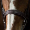 Pessoa PRO Fancy Stitched Wide Bridle -Equine Worlds 470461 pessoa pro wide fs bridle dk brown nose 51477.1586553021