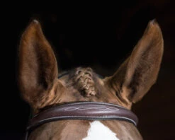 Pessoa PRO Fancy Stitched Tapered Bridle -Equine Worlds 470462 pessoa pro fs taper bridl dk brn brow 75194.1669487591