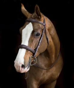 Pessoa PRO Fancy Stitched Tapered Bridle -Equine Worlds 470462 pessoa pro fs taper bridl dk brn horse 81669.1669487583