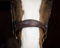 Pessoa PRO Fancy Stitched Tapered Bridle -Equine Worlds 470462 pessoa pro fs taper bridl dk brn nose 53987.1669487588