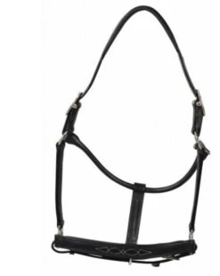 HDR Pony Fancy Padded Leather Halter -Equine Worlds 5019halterblack 80901 35602.1618602106