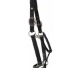 HDR Pony Fancy Padded Leather Halter -Equine Worlds 5019halterblackside 22829 81250.1618602103