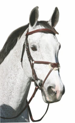 Henri De Rivel Pro Monocrown Figure 8 Bridle 11 Henri De Rivel Pro Monocrown Figure 8 Bridle -Equine Worlds 5095 hdr pro monocrown figure 8 bridle 44353.1546552990