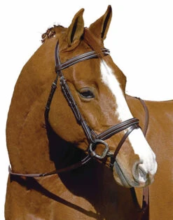HDR Pro Monocrown Plain Raised Flash Bridle 12 HDR Pro Monocrown Plain Raised Flash Bridle -Equine Worlds 5106 hdr pro monocrown flash bridle 61526.1546553105