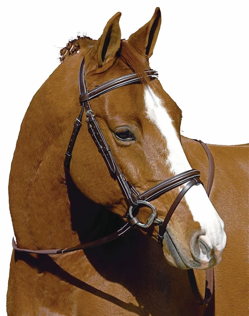 HDR Pro Monocrown Plain Raised Flash Bridle 7 HDR Pro Monocrown Plain Raised Flash Bridle - Image 5