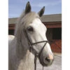 Nunn Finer Rubber Figure 8 Cavesson Noseband -Equine Worlds 632 Rubber Figure 8 63168.1601489633