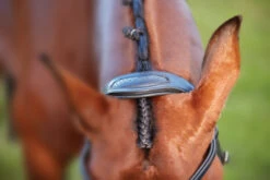 Collegiate ComfiTec Training Bridle 11 Collegiate ComfiTec Training Bridle -Equine Worlds 811145 ComfiTec Training Crown Detail 53744.1588094691
