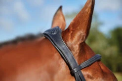 Collegiate ComfiTec Training Bridle 13 Collegiate ComfiTec Training Bridle -Equine Worlds 811145 ComfiTec Training Crown Side 34390.1588094697