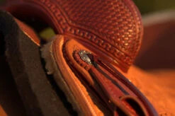 Circle Y Barton Select Rancher Saddle -Equine Worlds Barton Ranch Concho USE 26038.1600205510