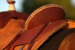 Circle Y Barton Select Rancher Saddle -Equine Worlds Barton Ranch Rear Skirting 15051.1600205555