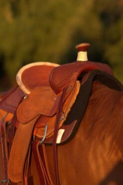 Circle Y Barton Select Rancher Saddle -Equine Worlds Barton Ranch Right 36019.1600205566