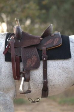 Reinsman Team Camarillo Fine Feathers Barrel Saddle -Equine Worlds Camarillo Feathers Left Profile 20463.1600205201