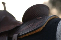 Reinsman Team Camarillo Fine Feathers Barrel Saddle -Equine Worlds Camarillo Feathers Rear View 34287.1600205224