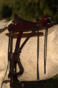 Circle Y Julie Goodnight Cascade Crossover Trail Saddle 1753 -Equine Worlds Cascade Left Side 39422.1600203383