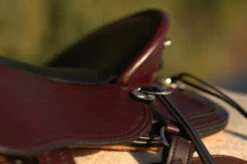 Circle Y Julie Goodnight Cascade Crossover Trail Saddle 1753 -Equine Worlds Cascade Skirt 05106.1600203438