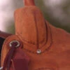 Circle Y Comal All Around Saddle -Equine Worlds Comal All Around Pommel 56449.1600205959