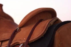 Circle Y Comal All Around Saddle -Equine Worlds Comal All Around Skirt 42444.1600205963