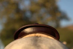 High Horse Daisetta Cordura Trail Saddle By Circle Y 26 High Horse Daisetta Cordura Trail Saddle By Circle Y -Equine Worlds Daisetta Cantle Rear 57003.1600204651