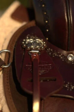 High Horse Daisetta Cordura Trail Saddle By Circle Y 36 High Horse Daisetta Cordura Trail Saddle By Circle Y -Equine Worlds Daisetta Concho 80022.1600204641