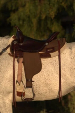 High Horse Daisetta Cordura Trail Saddle By Circle Y 32 High Horse Daisetta Cordura Trail Saddle By Circle Y -Equine Worlds Daisetta Left 05467.1600204671