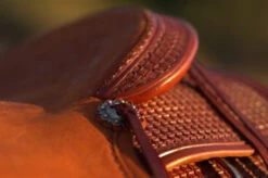 Circle Y Dodge Ranch Sorter Saddle -Equine Worlds Dodge Ranch Sorter Concho 72552.1600205719