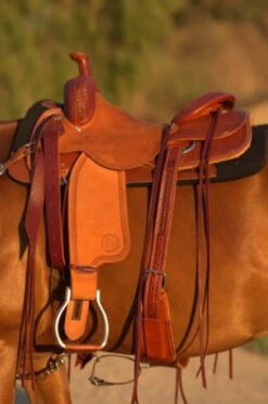 Circle Y Dodge Ranch Sorter Saddle -Equine Worlds Dodge Ranch Sorter Left Profile 07231.1600205703