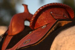 Circle Y Fischer Daisy Treeless Barrel Saddle -Equine Worlds Fischer Treeless Rear Seat 85806.1600204907