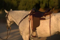 High Horse Highbank Endurance Saddle By Circle Y 10 High Horse Highbank Endurance Saddle By Circle Y -Equine Worlds HH Highback Left Profile on a horse 30277.1600209479