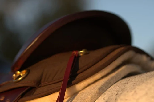 High Horse Highbank Endurance Saddle By Circle Y 4 High Horse Highbank Endurance Saddle By Circle Y - Image 2