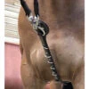 Jump'in Patrick Training Aid -Equine Worlds Patrick Training Aid havana strap rings jumpin 56451.1645560084
