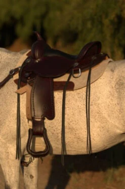 Circle Y Salt River Flex2 Trail Saddle 1667 -Equine Worlds Salt River Left Profile Close Up 99507.1600203807