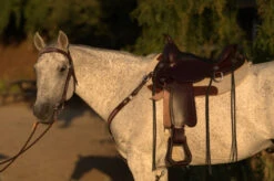 Circle Y Salt River Flex2 Trail Saddle 1667 -Equine Worlds Salt River Left Profile on a horse 71261.1600203852