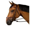 Dy'on X-Fit Bridle -Equine Worlds X fit bridle brown cropW NECCCDBR dyon 45057.1626300304