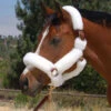 Mary's Walsh Shipping Halter With Solid Brass Hardware -Equine Worlds aaaaaaaaid 56803 65100.1638732787