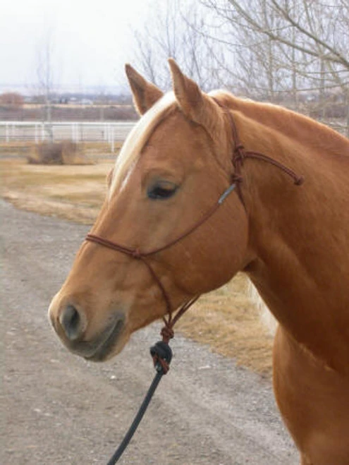 Double Diamond Buck Brannaman 124 Rope Halter 3 Double Diamond Buck Brannaman 124 Rope Halter