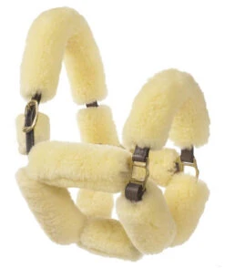 Ovation Sheepskin Pony Shipping Halter -Equine Worlds aaaaaaaerk 03486 25746.1527309291