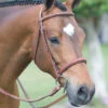 Rodrigo Fancy Stitch Padded Wide Noseband Show Bridle -Equine Worlds aaaaaaagsj 76880 63278.1527306437