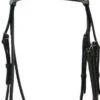 Bobby's English Tack Plain Raised Bridle -Equine Worlds aaaaaaahuk 43230 06329.1527309384