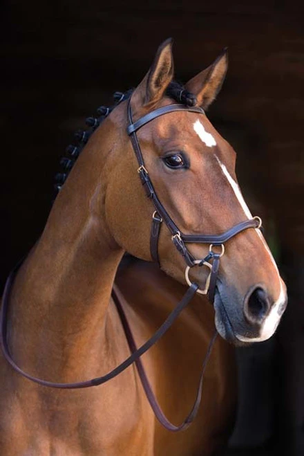 Horseware Ireland Rambo Original Micklem Multibridle 5 Horseware Ireland Rambo Original Micklem Multibridle - Image 3