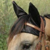 Cashel Comfort Ears -Equine Worlds aaaaaaappc 35268 04226.1562457244