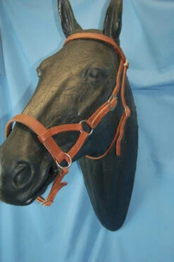 Buckaroo Leather Flat Nose Sidepull -Equine Worlds aaaaaaavbhimage1 39395 02365.1527296610