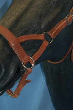 Buckaroo Leather Flat Nose Sidepull -Equine Worlds aaaaaaavbhimage2 13691 48892.1527296610