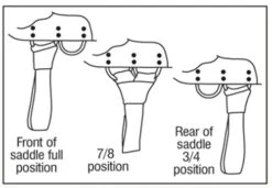 Circle Y Walnut Grove A Fork Flex2 Trail Saddle 1157 -Equine Worlds aaaaaaaxhgimage5 54216 62406.1537223555